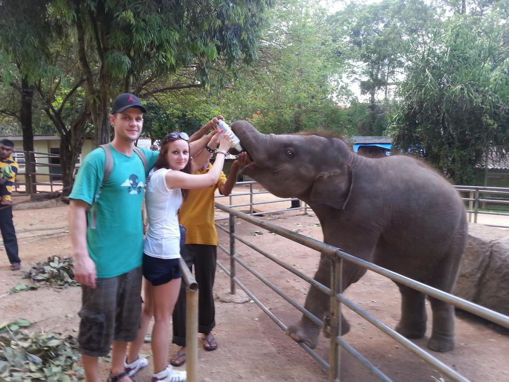 Elephant Reach Villa Pinnawala Пинавала Екстериор снимка