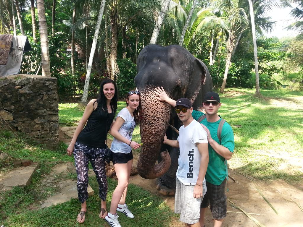 Elephant Reach Villa Pinnawala Пинавала Екстериор снимка