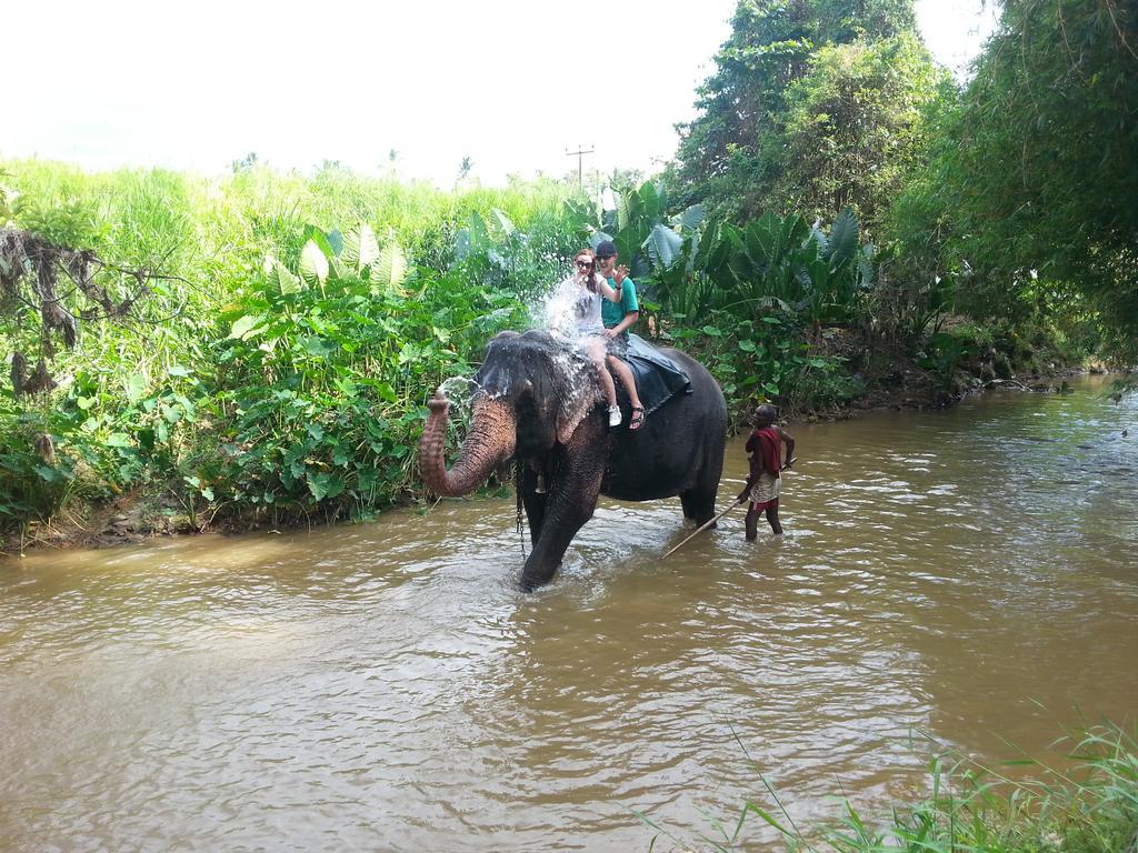 Elephant Reach Villa Pinnawala Пинавала Екстериор снимка